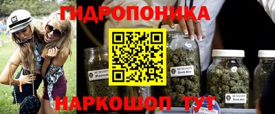 PSILOCYBIN Будённовск