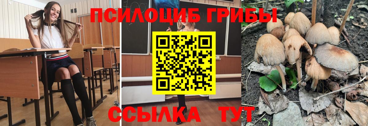 Галлюциногенные грибы мицелий Мончегорск