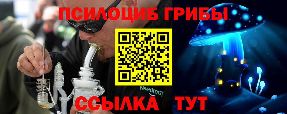Мончегорск  Псилоцибиновые грибы MAGIC MUSHROOMS  Вход с VPN 